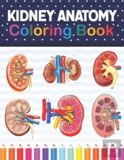 Kidney Anatomy Coloring Book