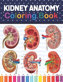 Bertrand.pt - Kidney Anatomy Coloring Book