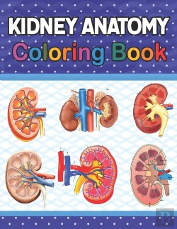Bertrand.pt - Kidney Anatomy Coloring Book