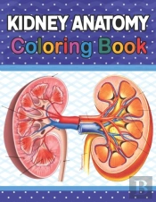 Kidney Anatomy Coloring Book