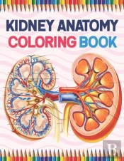 Kidney Anatomy Coloring Book