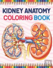 Kidney Anatomy Coloring Book