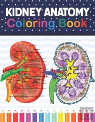 Kidney Anatomy Coloring Book