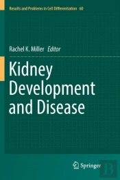 Kidney Development And Disease