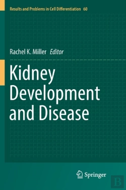 Bertrand.pt - Kidney Development And Disease