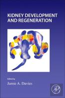 Kidney Development And Regeneration