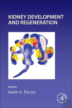 Bertrand.pt - Kidney Development And Regeneration