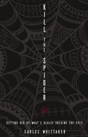 Kill The Spider