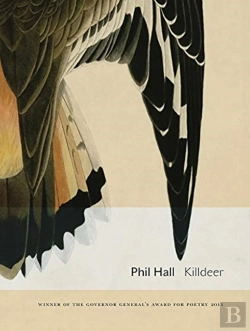 Bertrand.pt - Killdeer