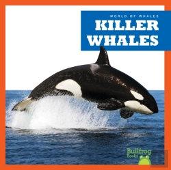 Bertrand.pt - Killer Whales