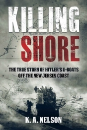 Killing Shore