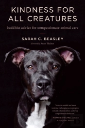 Kindness For All Creatures