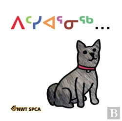 Bertrand.pt - Kindness Is...  Inuktitut Translation