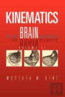 Kinematics Of The Brain Activities