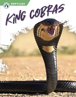 Bertrand.pt - King Cobras