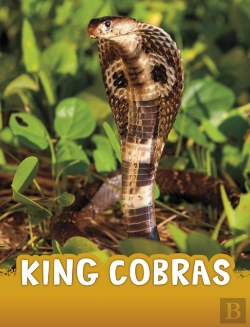 Bertrand.pt - King Cobras
