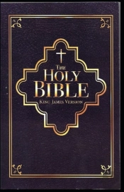 King James Version(The New Testament) Illustrated Edition