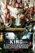 King Of The Labyrinth, Vol. 1 (Light Novel)