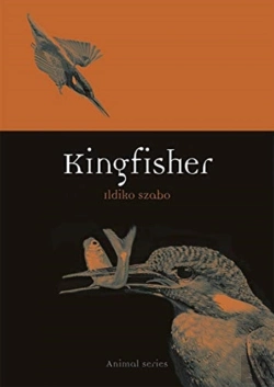 Bertrand.pt - Kingfisher