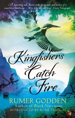 Bertrand.pt - Kingfishers Catch Fire