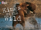 Kings Of The Wild