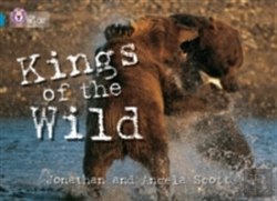 Bertrand.pt - Kings Of The Wild