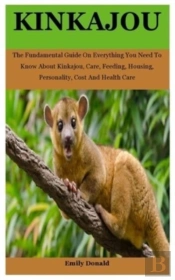 Kinkajou