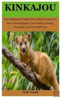 Bertrand.pt - Kinkajou
