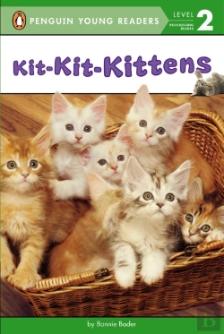 Bertrand.pt - Kit-Kit-Kittens