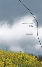 Kite