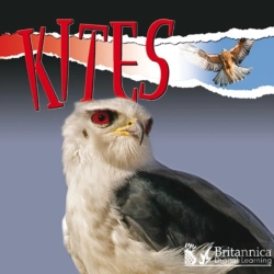 Bertrand.pt - Kites