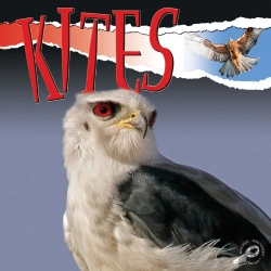 Bertrand.pt - Kites