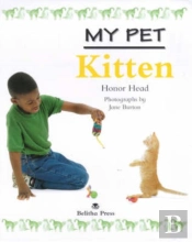 Kitten