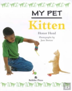 Bertrand.pt - Kitten