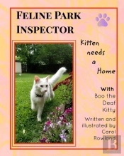 Kitten Needs A Home