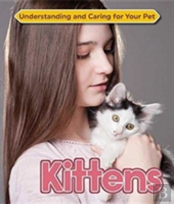 Bertrand.pt - Kittens