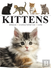 Kittens