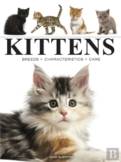 Bertrand.pt - Kittens