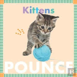 Bertrand.pt - Kittens Pounce