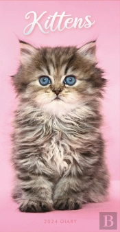Kittens Slim Diary 2024
