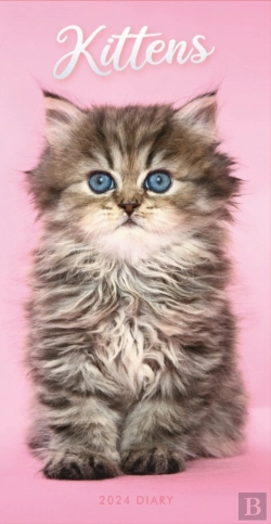 Bertrand.pt - Kittens Slim Diary 2024