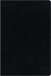 Kjv, Amplified, Parallel Bible, Large Print, Bonded Leather, Black, Red Letter