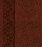 Kjv Expressions Bible