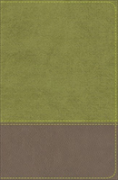 Kjv Study Bible For Boys Olive/Brown Leathertouch