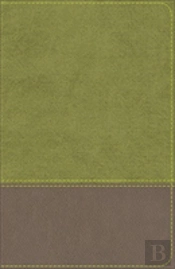Kjv Study Bible For Boys Olive/Brown Leathertouch