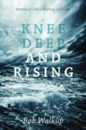 Knee Deep And Rising: Stories Of Life'S