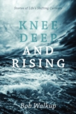 Bertrand.pt - Knee Deep And Rising: Stories Of Life'S