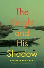Knight And His Shadow