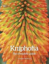 Kniphofia