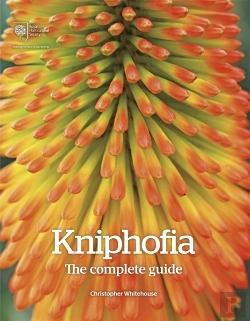 Bertrand.pt - Kniphofia